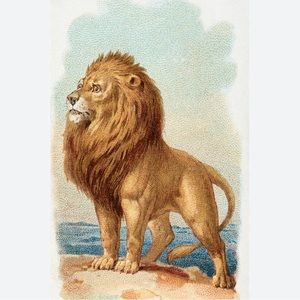 🦁Live notifications🦁 $1 items build a bundle baby boy clothes